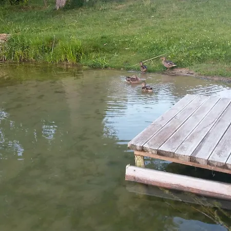 Warminska * Kierzliny